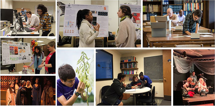 A collage of photos showing students doing a variety of research